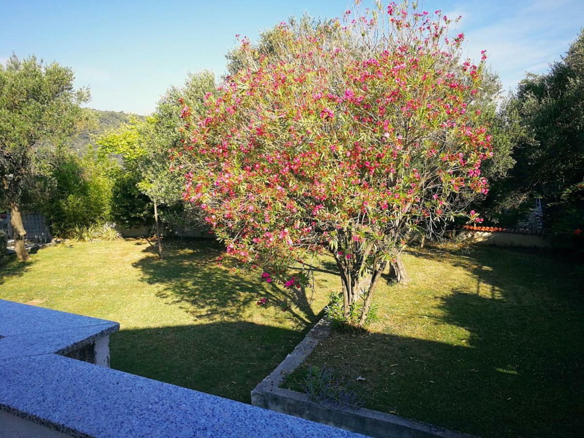 Family Friendly Apartments Island Rab Kampor Екстериор снимка